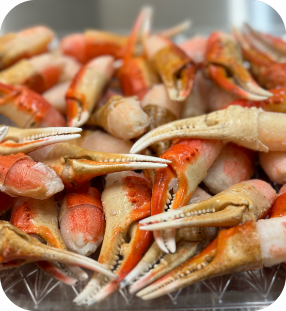 Snow Crab Cocktail Claw (3 lbs.) | Linton's Seafood